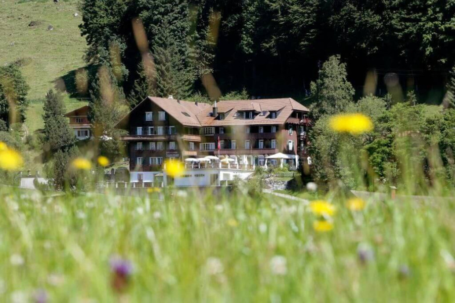 Hotel Hammer im Eigenthal